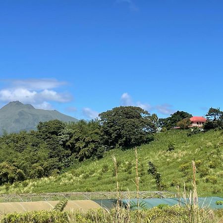Chambre Et Sdb Privative Ylang Ylang Vue Mont Pelee Dans Maison Partagee Le Morne-Rouge Экстерьер фото