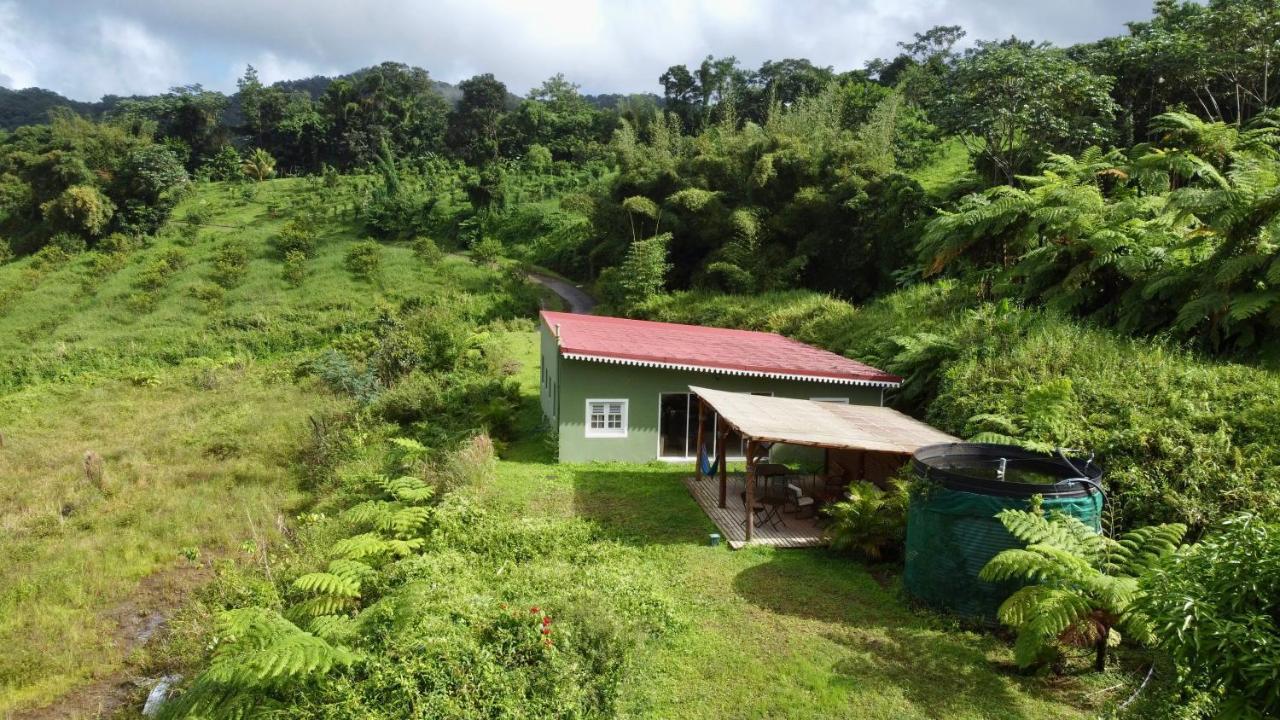 Chambre Et Sdb Privative Ylang Ylang Vue Mont Pelee Dans Maison Partagee Le Morne-Rouge Экстерьер фото
